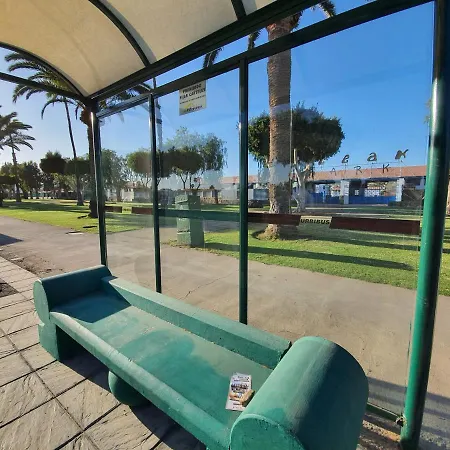 Pool & Wifi Free Shared Flat Private By Ocean Park * Maspalomas (Gran Canaria)
